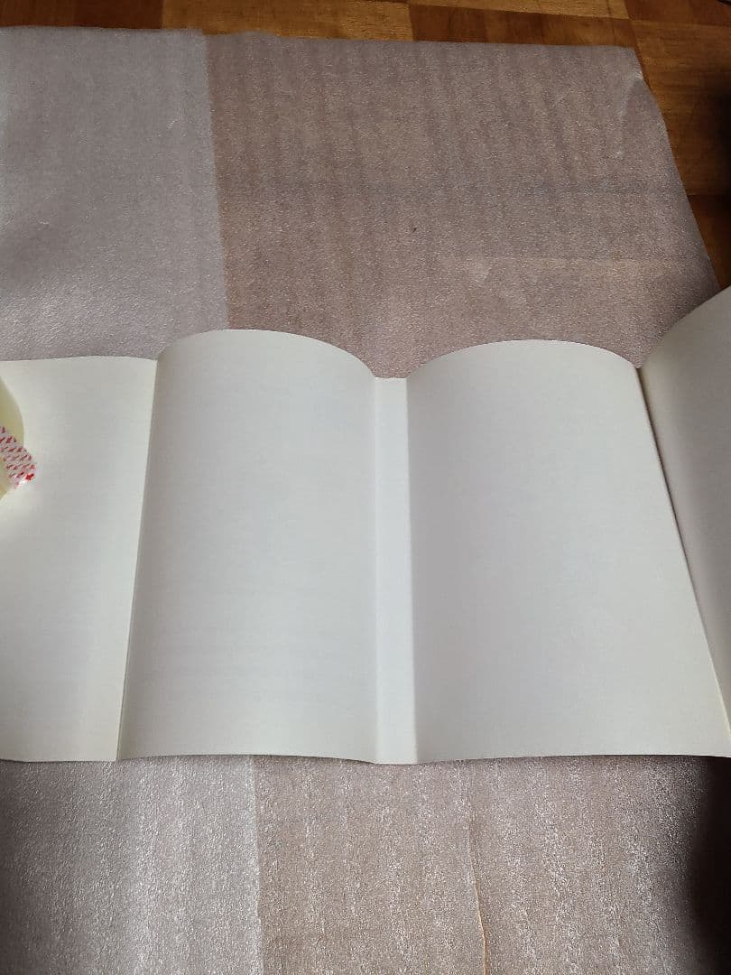 ポケットモンスター SPECIAL 1巻 初版