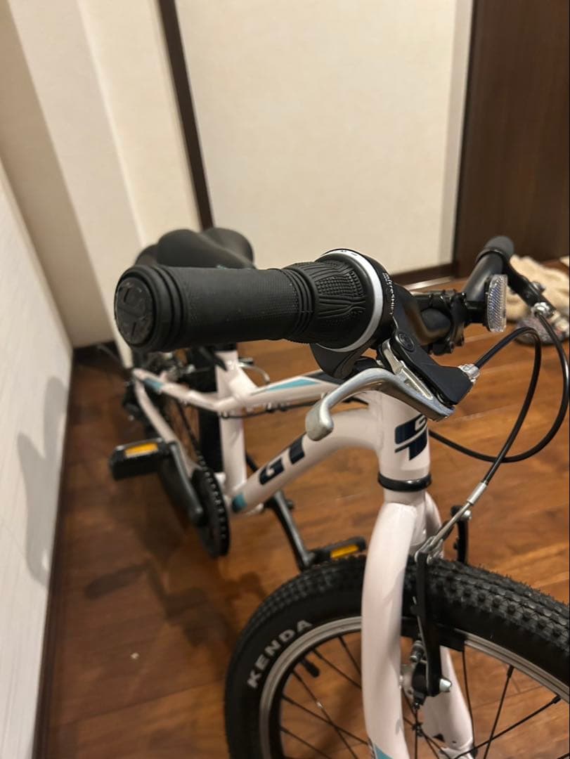 GT ストンパーエース　20インチ　子ども　マウンテンバイク