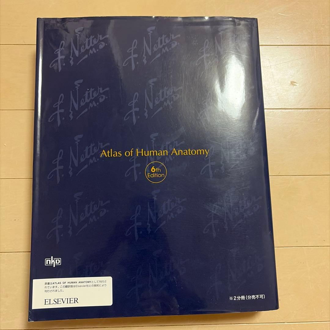 ネッター解剖学 セット版アトラス・別冊学習の手引き