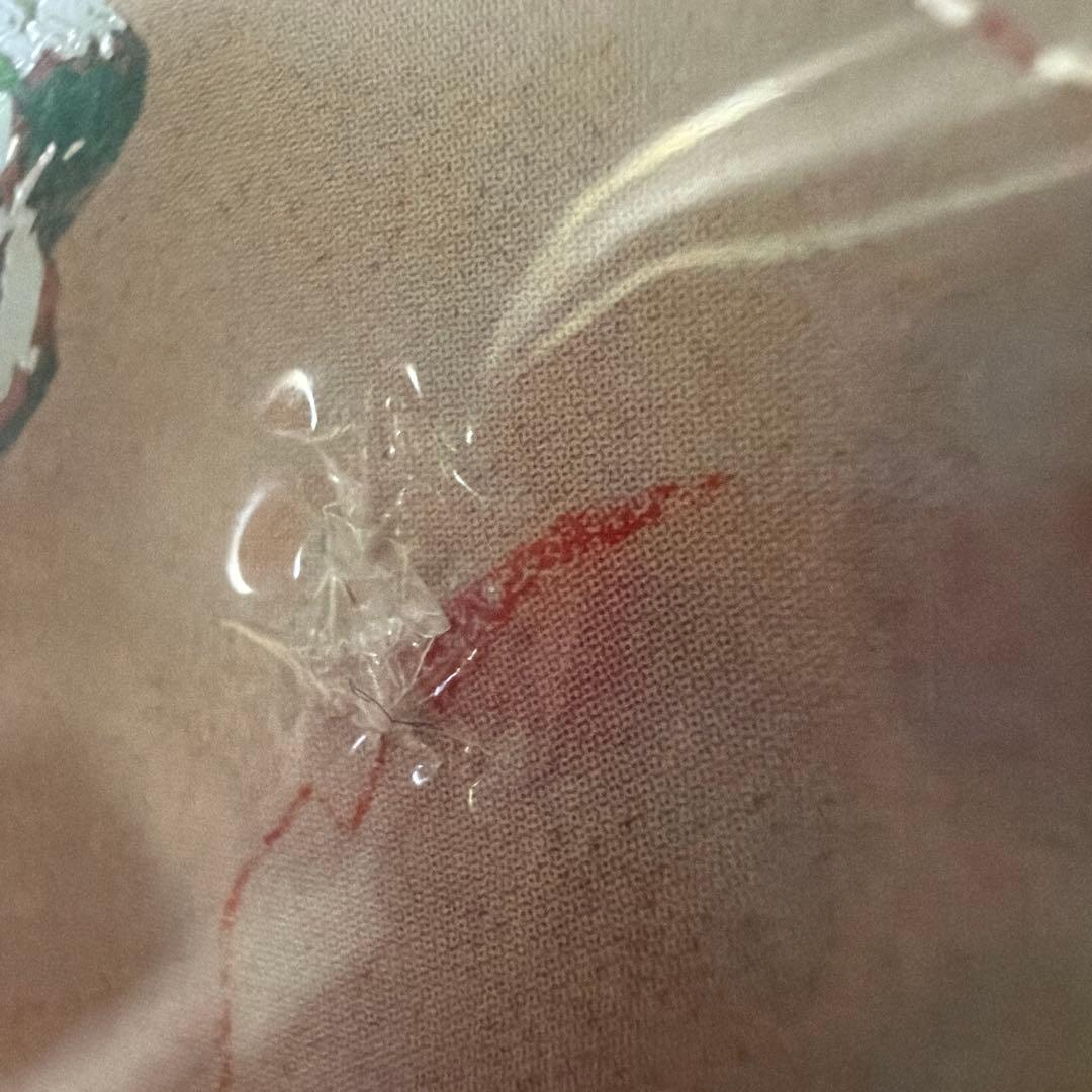 ずとまよ 珪藻土 初回限定 魔導書版