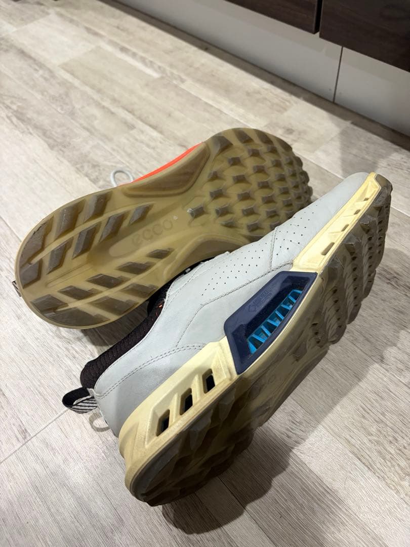 ECCO BIOM G4 PERFORMANCE GOLF シューズ