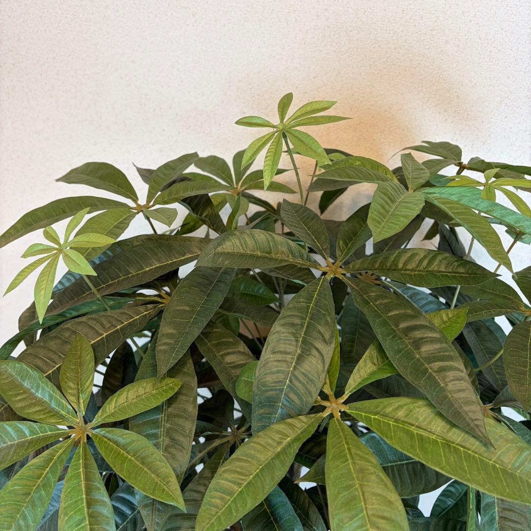 markzzz 大型フェイクグリーン 人工観葉植物 光触媒 170cm