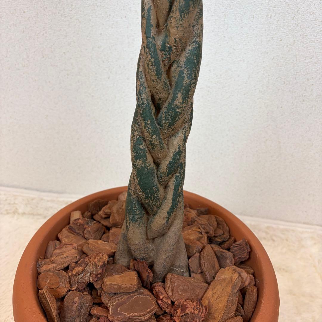 markzzz 大型フェイクグリーン 人工観葉植物 光触媒 170cm