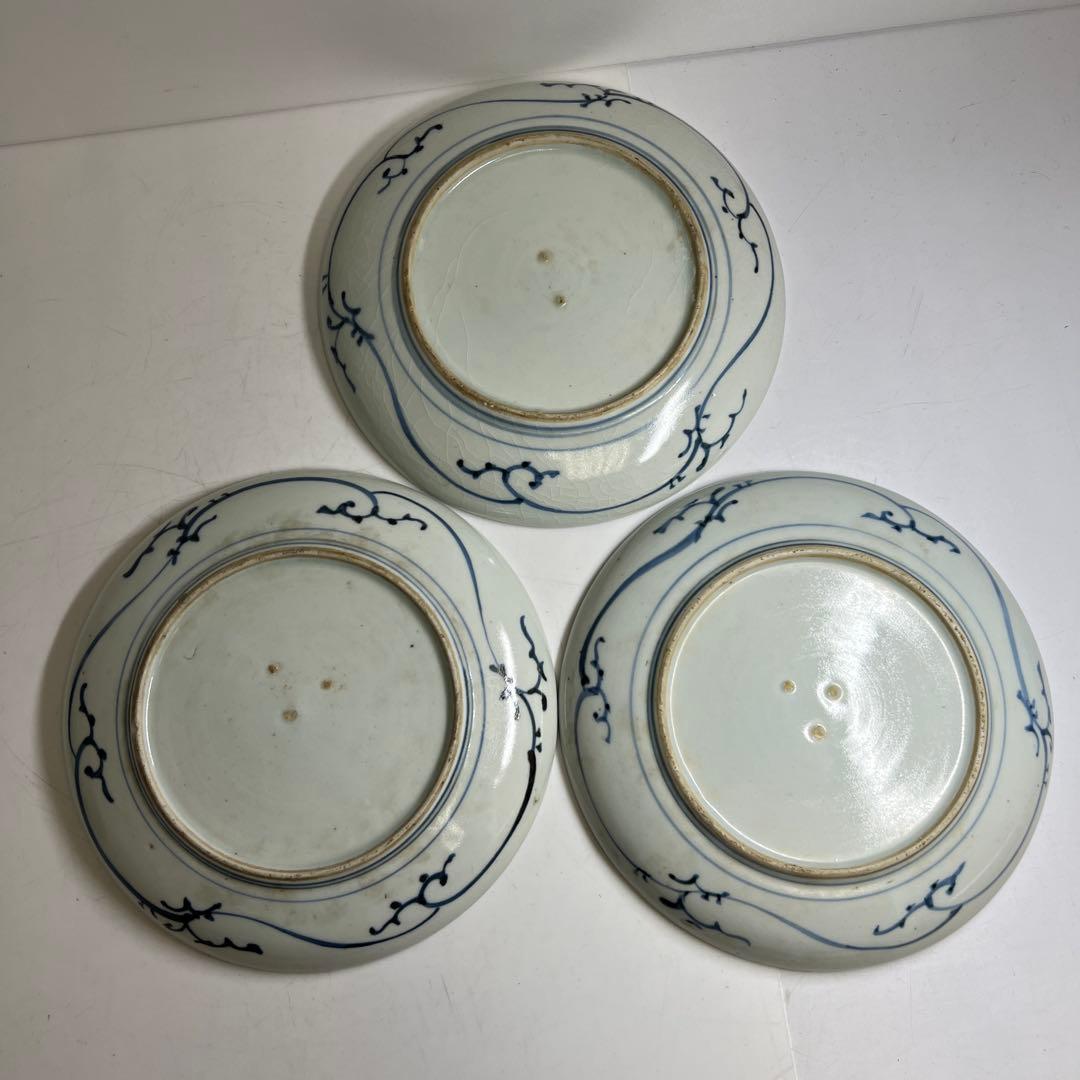 古伊万里　染付中皿6枚　木箱付　直径約20㎝　東Y8-0220②