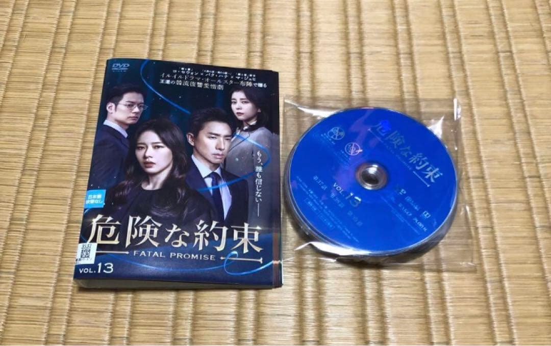 DVD 危険な約束 コ・セウォン パク・ハナ 韓国ドラマ