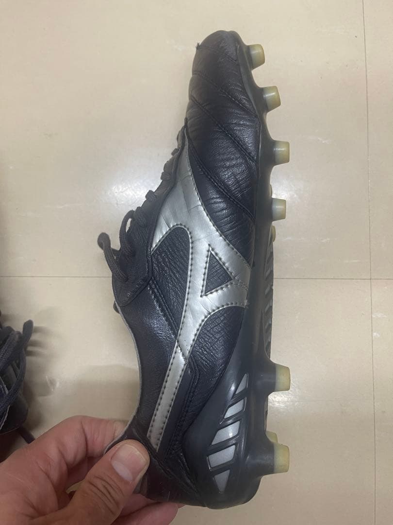 モレリアdna japan mizuno