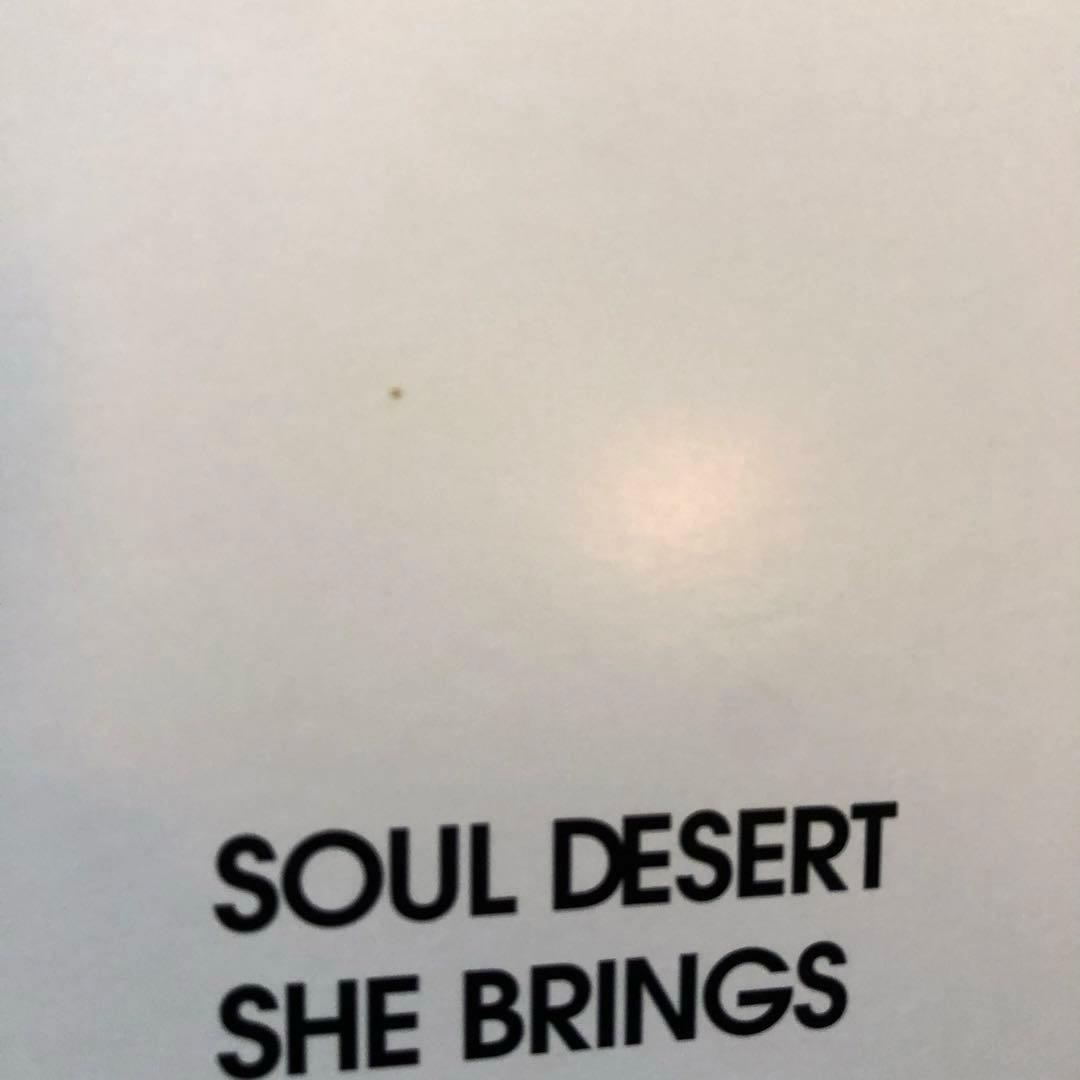 入手困難盤 CAN THE SINGLES カン シングルス レコード 3LP