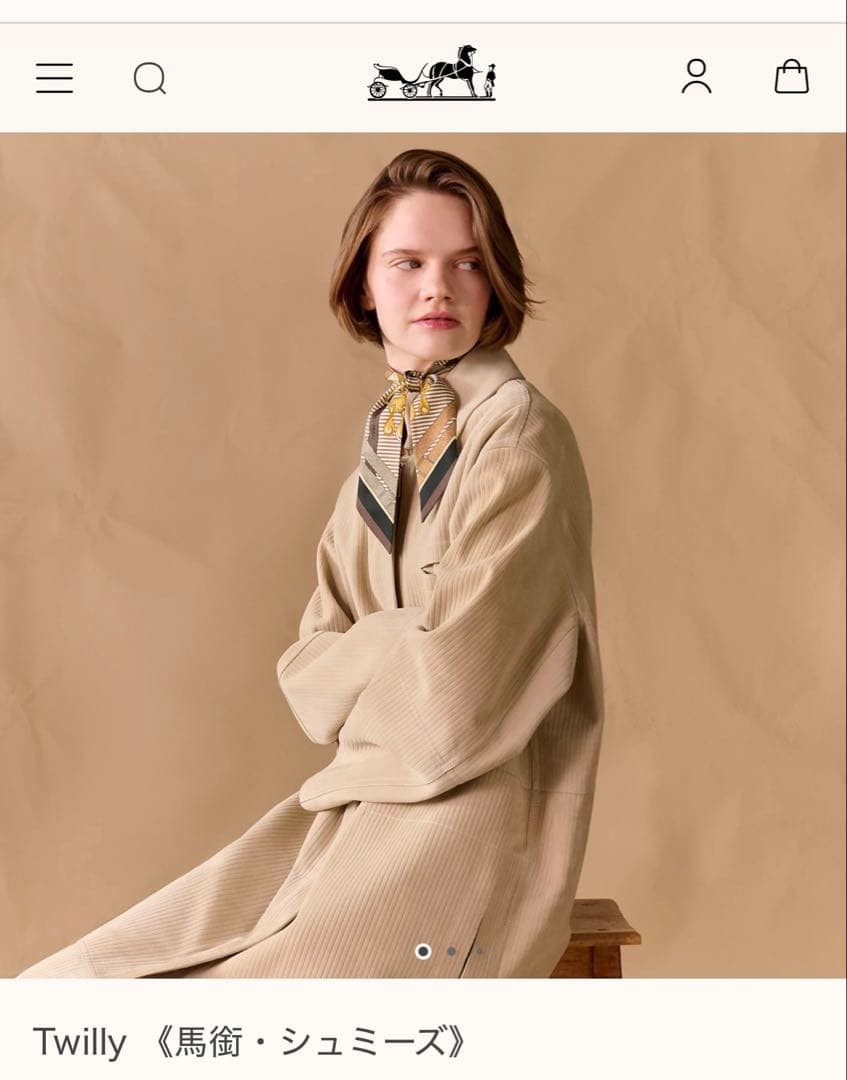 HERMES　エルメス　ツイリー　馬銜シュミーズ　シルクリボンスカーフ　ショコラ