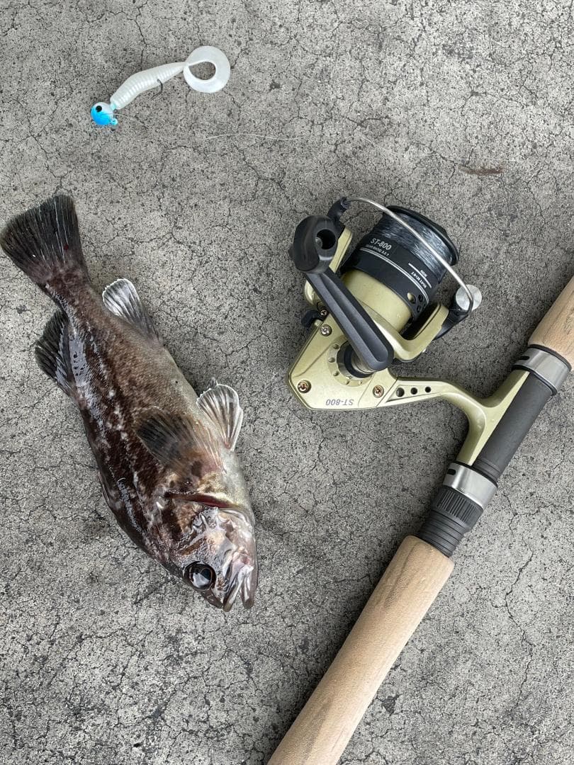 OLYMPICオリムピックCENTURYテレスコTELESCOMINIミニ60L