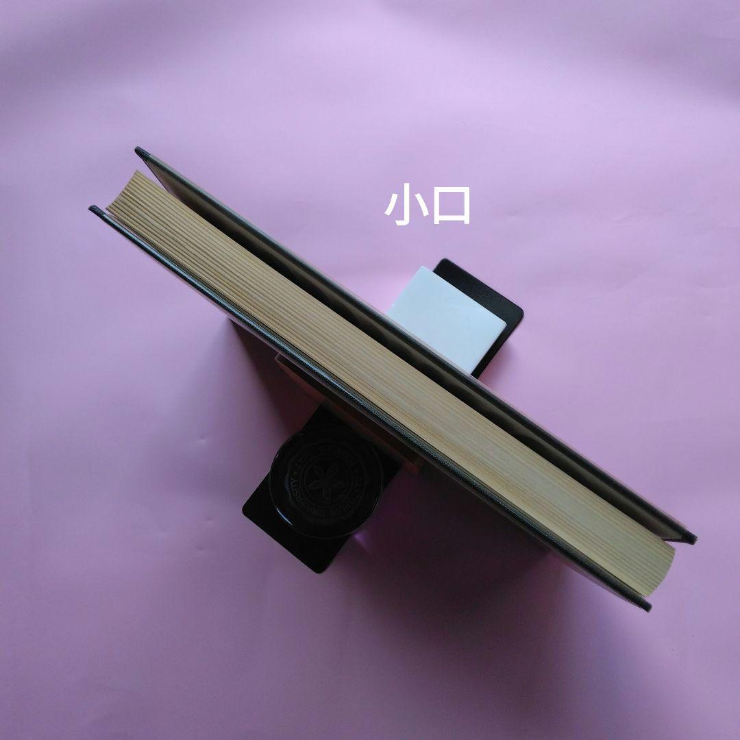 JOAN MIRO PEINTURE=POESIE ジョアン・ミロ画集 仏語