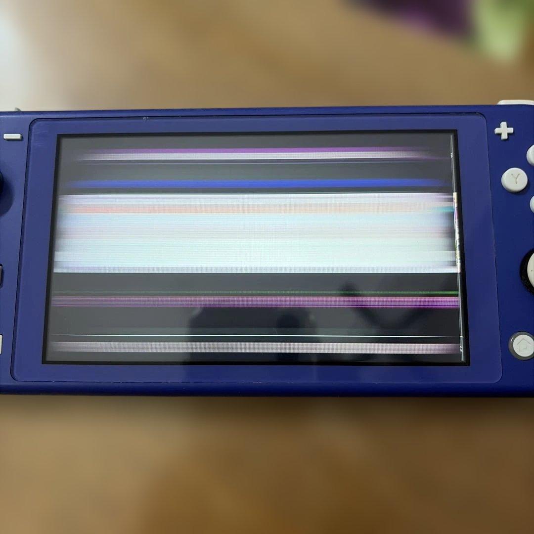 Nintendo Switch Lite パープル【ジャンク】