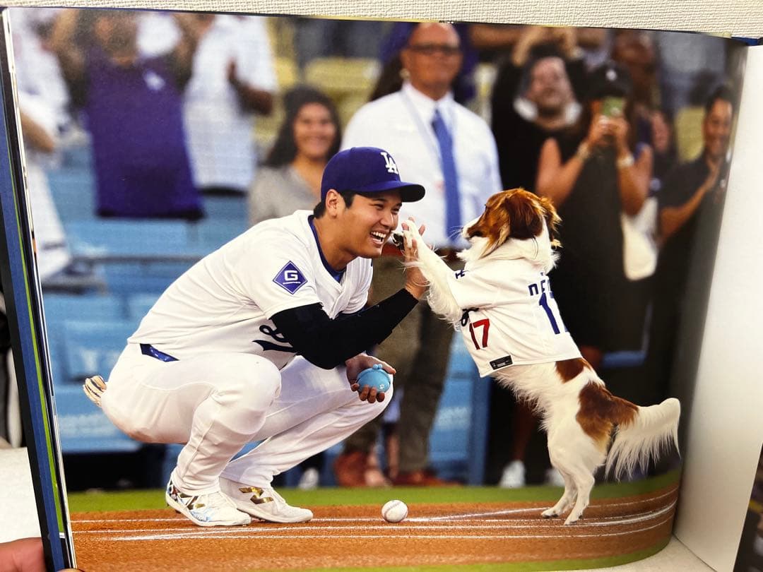 大谷翔平ドジャース2024シーズン総集編フルカラーオフィシャル写真集豪華版