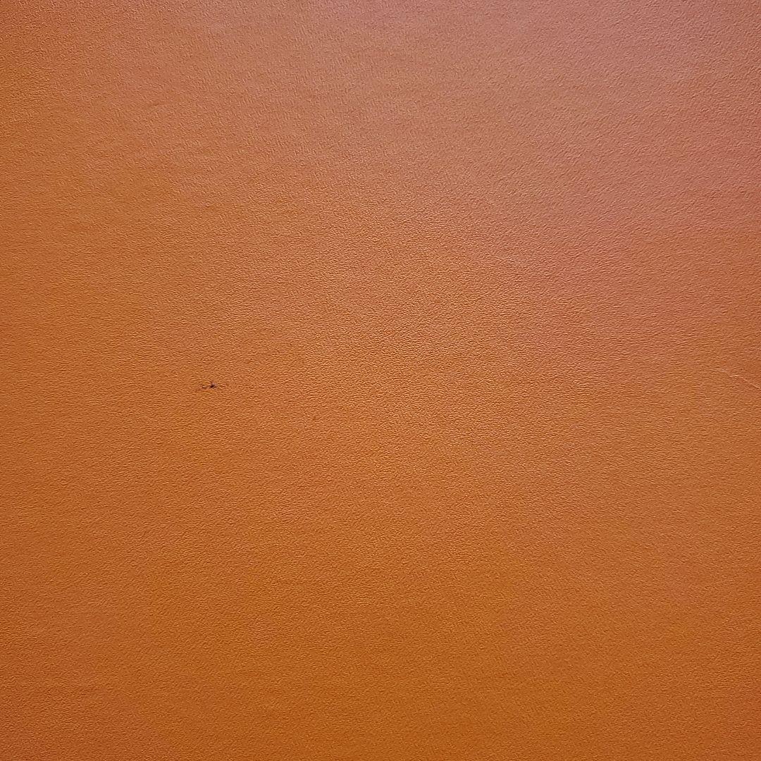 HERMESカレ90パッションフラワーPASSION FLOWER箱なし