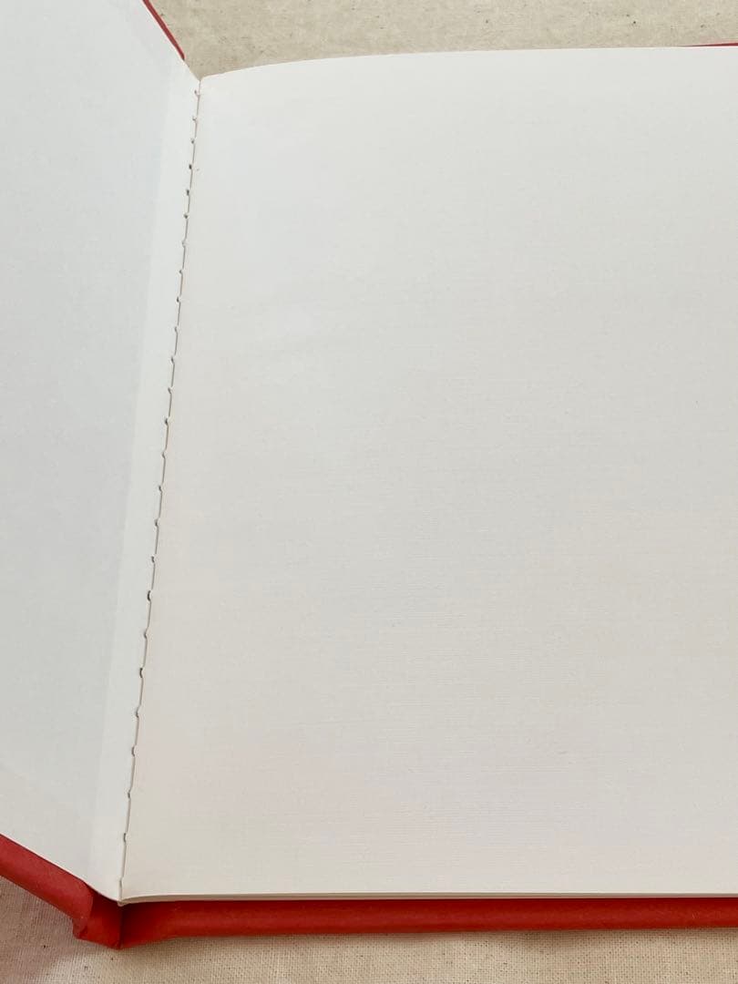 洋書 Instruction Manual No.2 Terri Weifenbach