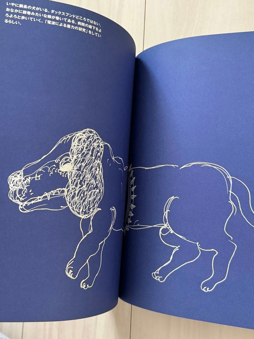 【極美！サイン署名】田名網敬一　夢と記憶　ポスター付　adidas