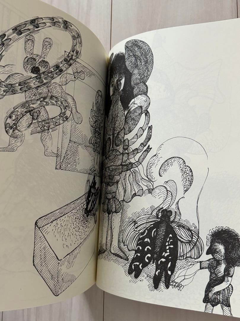 【極美！サイン署名】田名網敬一　夢と記憶　ポスター付　adidas