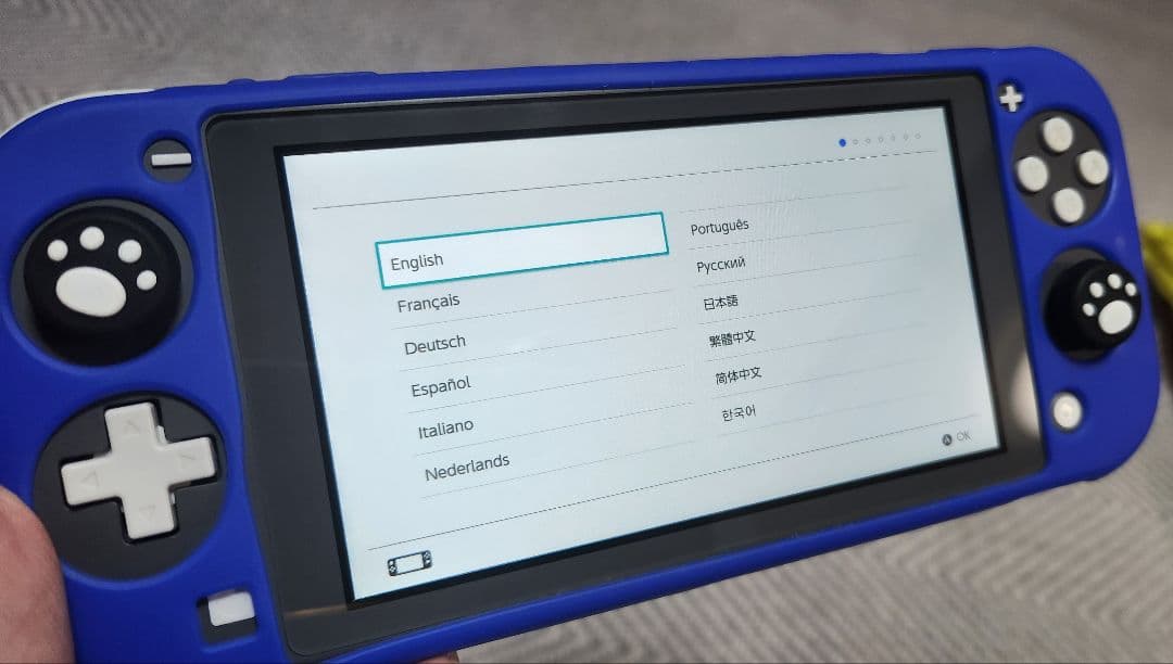 Nintendo Switch Lite グレー　シリコンケース付き　箱無し