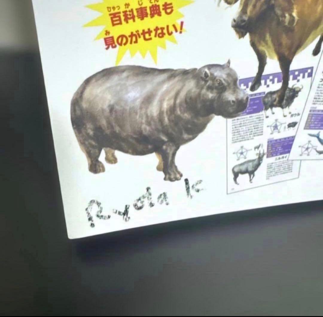 どっちが強い！？ +他　角川まんが科学シリーズ 30冊セット　まとめ売り