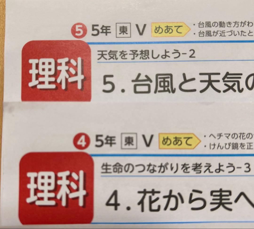 【2025年度版】カラーテスト　理科　小5 光文書院　　Vテスト　東京書籍