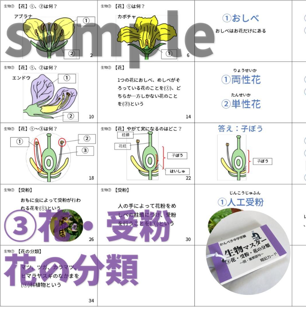 中学入試理科【074】生物・化学・地学・物理マスターセット　入試対策