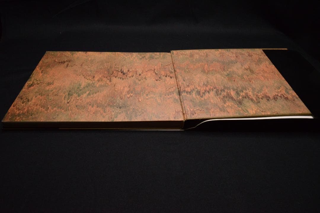 Souvenirs Improbables /Sarah Moon ★値下げした