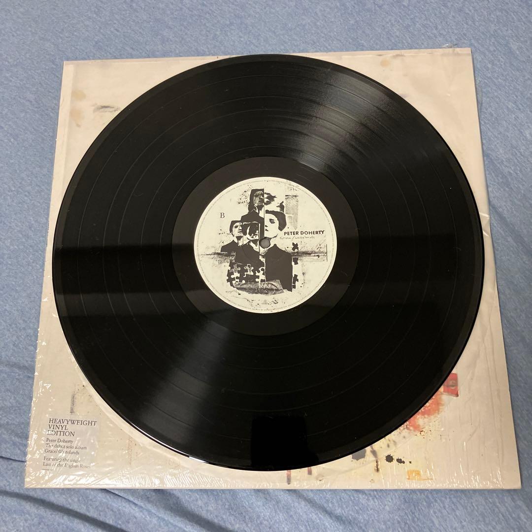 Peter Doherty Grace/Wastelands LPレコード