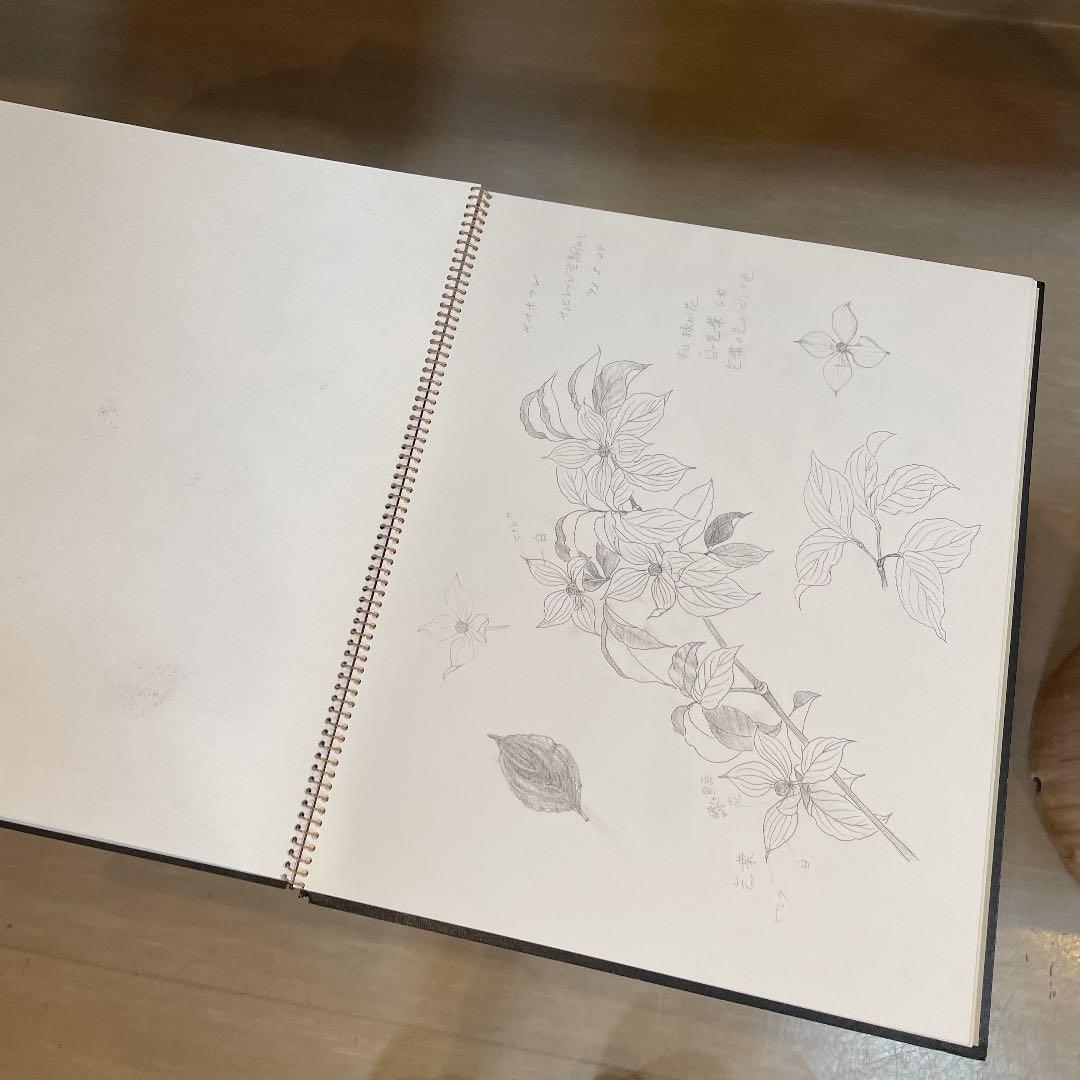 河村大蔵　蔵石　スケッチブック