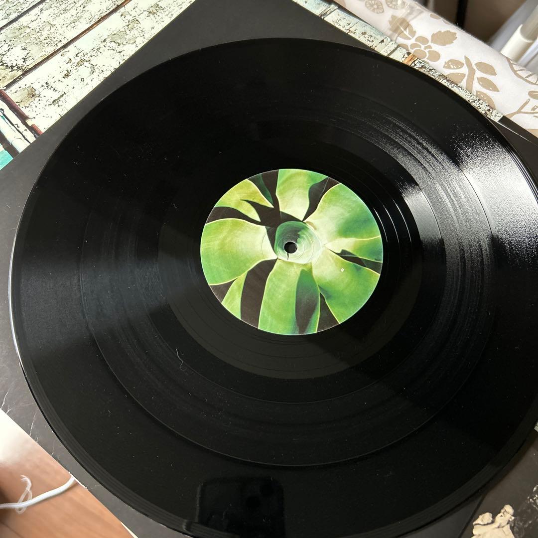 レコード　exciter