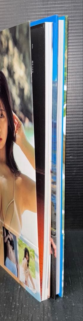 鈴木ふみ奈 写真集 Maganda! サイン入り プロマイド FLY HIGH