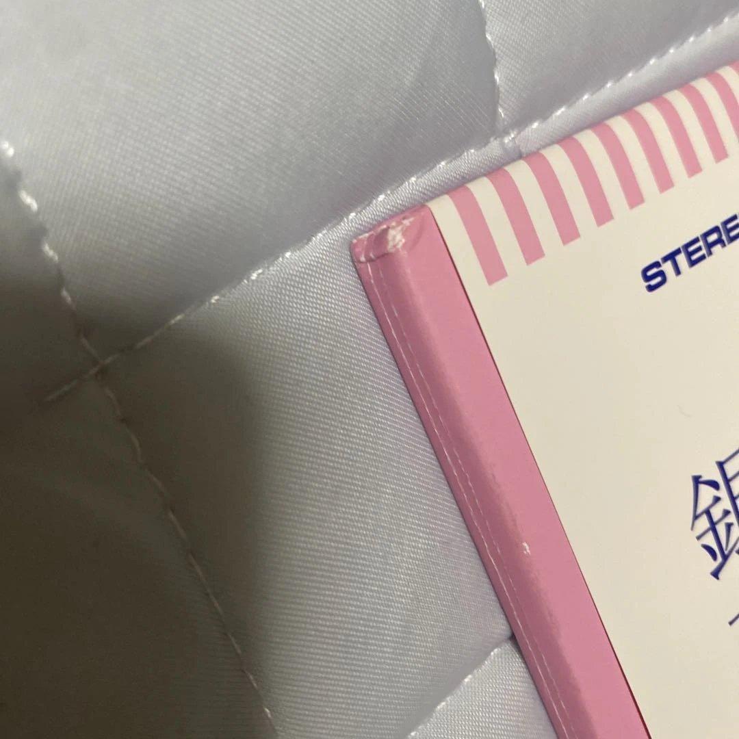 銀杏BOYZ『ねぇみんな大好きだよ』LP アナログ レコード