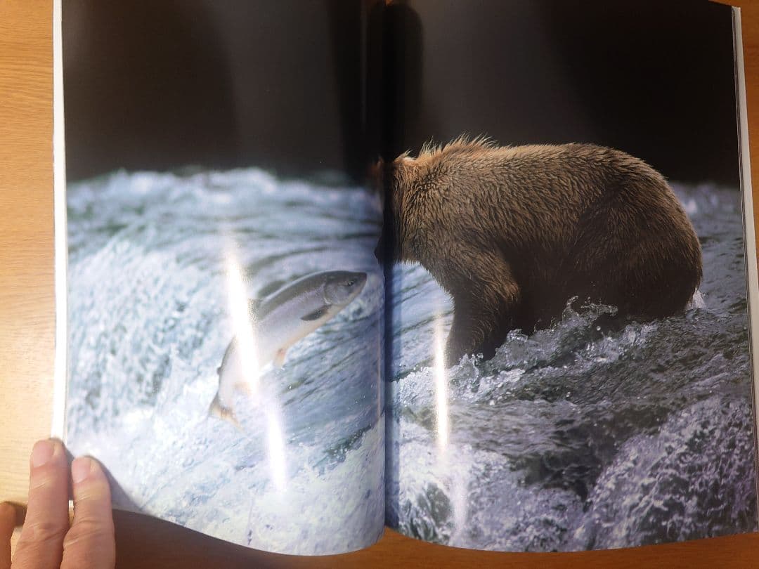 【美品】星野道夫　GRIZZLY & MOOSE 写真集2冊セット