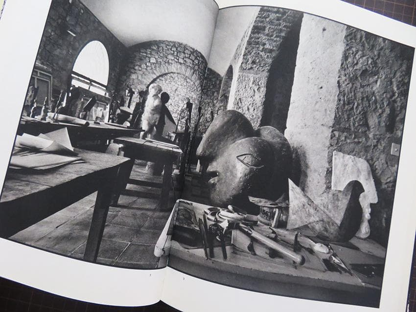 Picassos letztes Selbstporträt ピカソ最後の自画像