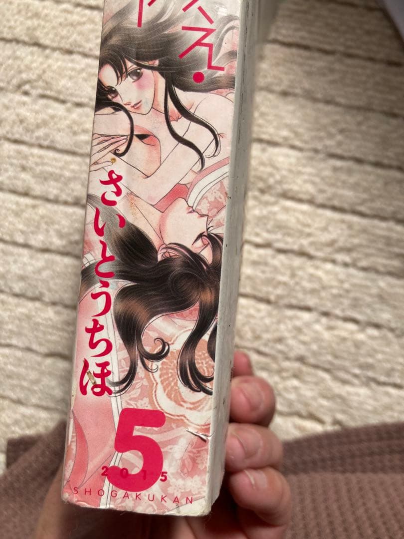 さいとうちほ　表紙&巻頭カラー