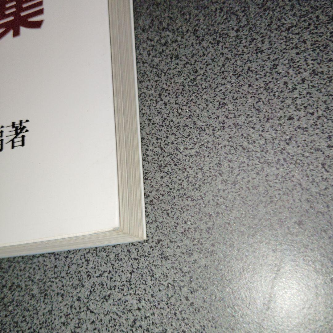 思考回路を磨く 基礎解析問題集　1994年発行初版 米谷達也　SEG出版