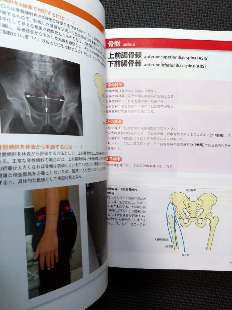 ケアマネ　介護士　看護師　触診技術第2版　フルカラー　理学療法士　作業療法　PT