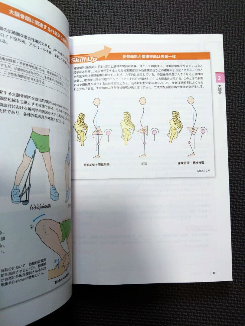 ケアマネ　介護士　看護師　触診技術第2版　フルカラー　理学療法士　作業療法　PT