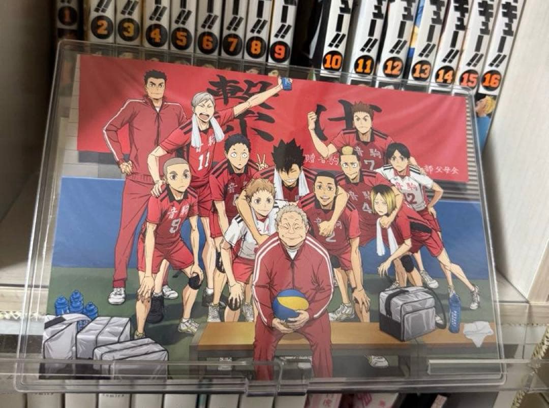 ハイキュー 1~45巻+α 全巻セット グッズ フィギュア