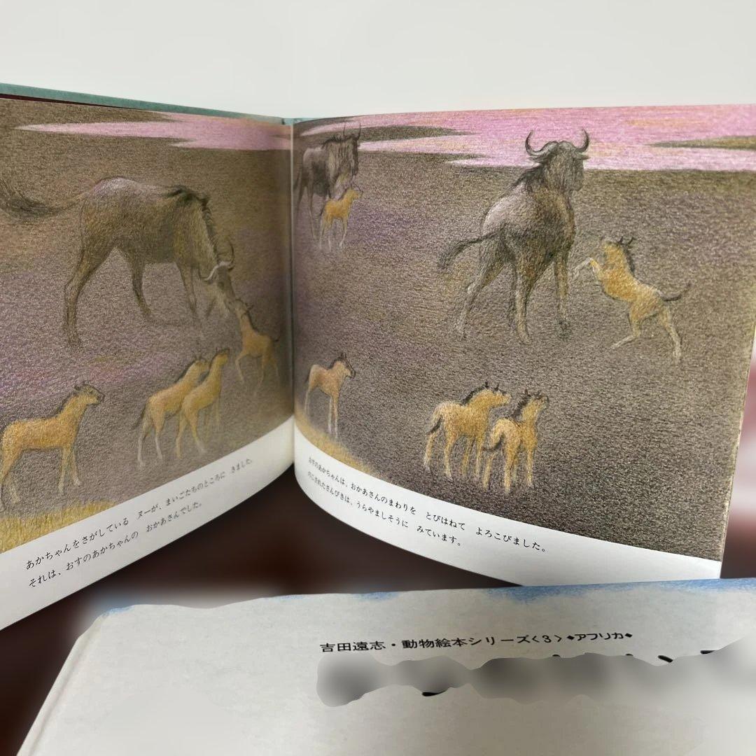 かりのけいこ、かんちがい 、はじめてのかり吉田遠志　動物絵本シリーズ アフリカ