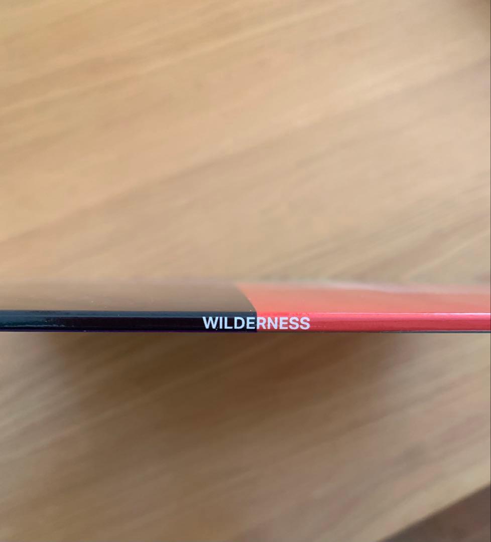 JOY DIVISION WILDERNESS 限定版レコード