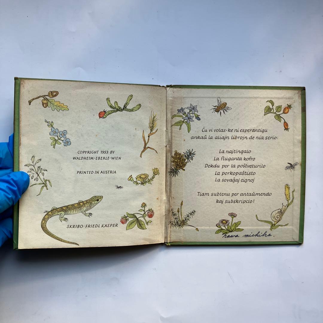 Fingrulino Lau Chr Andersen　洋書　絵本