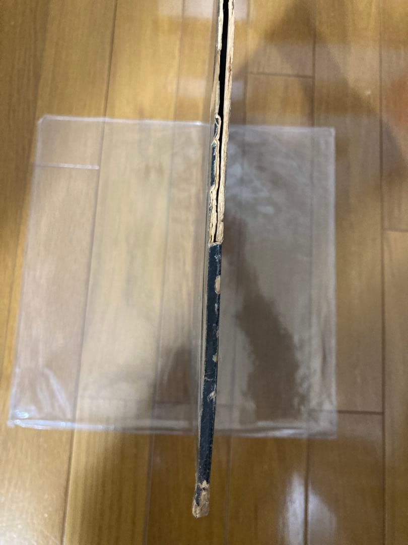 稀少ブラジルオリジナルMono轟音ポールマッカートニーBeatlesレコード