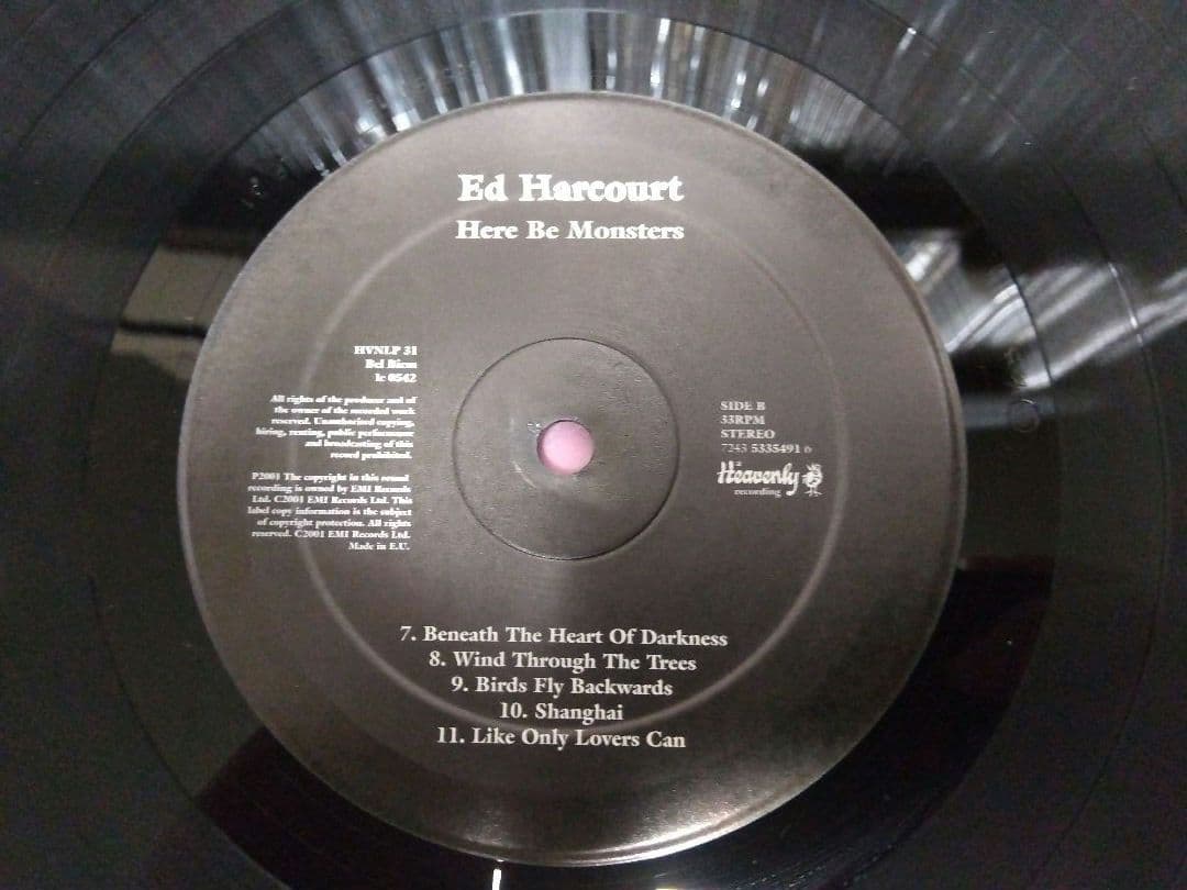 Here Be Monsters エド ハーコート アナログ レコード LP