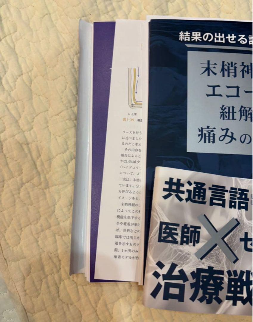 裁断済み　結果の出せる評価と治療 末梢神経とエコーから紐解く痛みの解釈