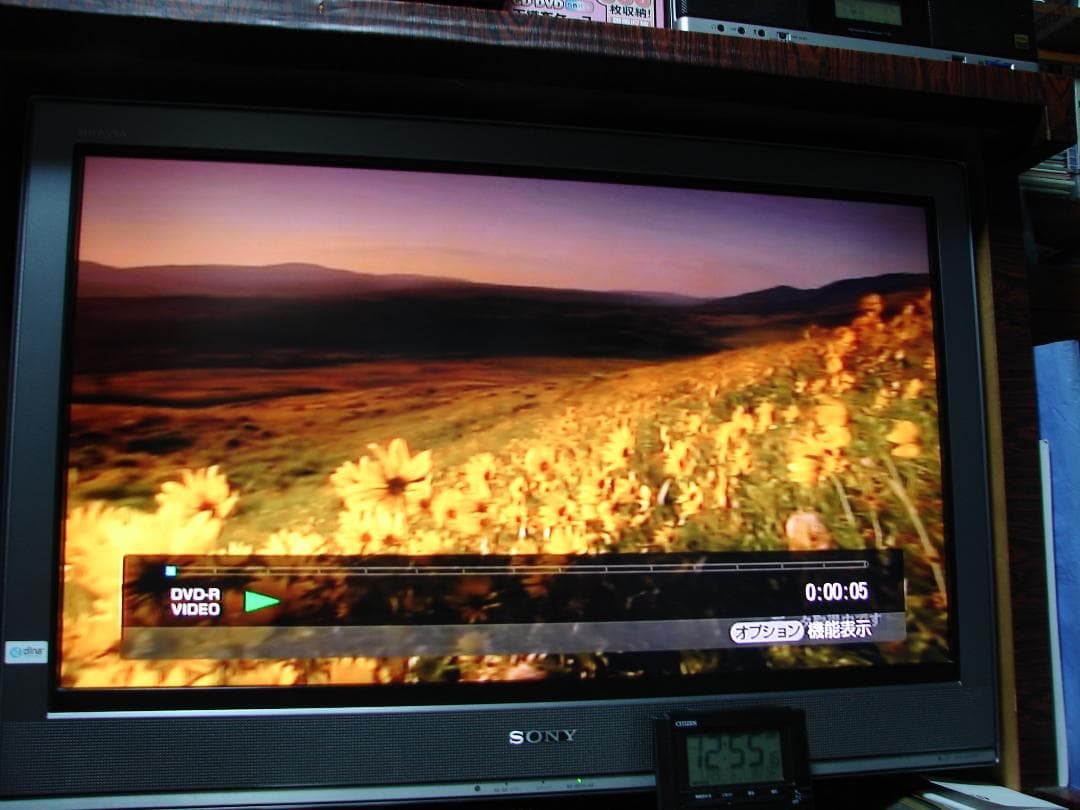 SONY■地デジ■HDD・DVDレコーダー スゴ録■RDZ-D800■動作品