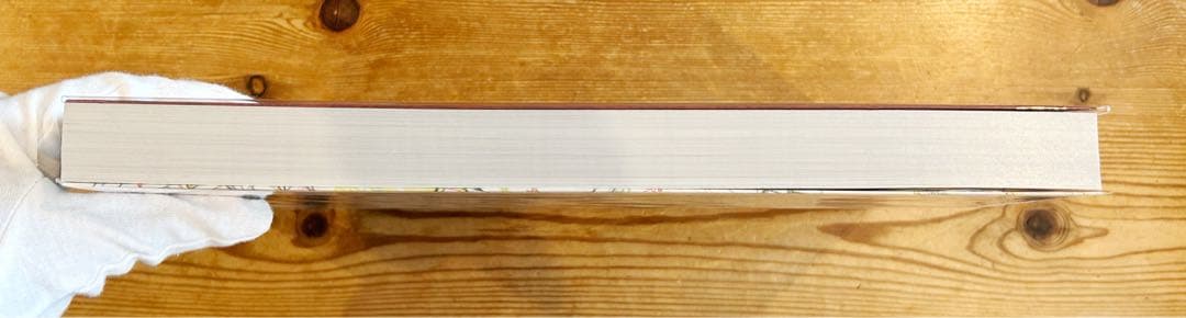 鬼滅の刃 アニメーション原画集　無限列車編