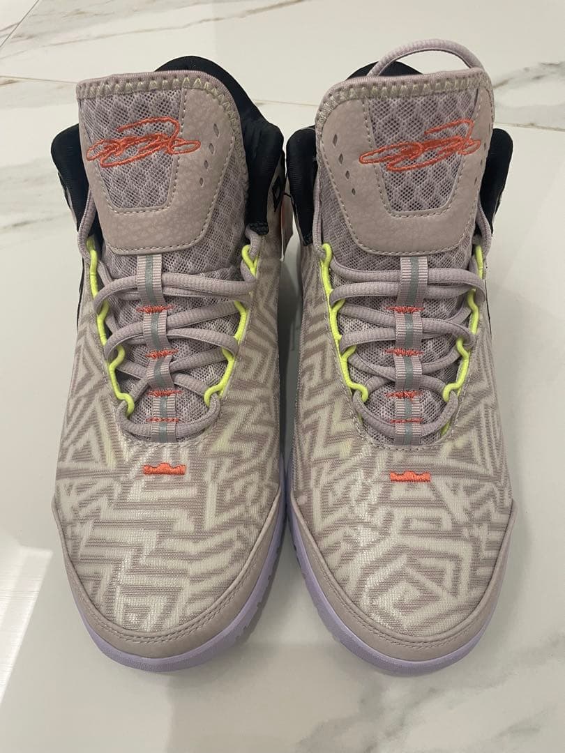 NIKE ナイキ　 レブロン NXXT ジーニサス　26.0