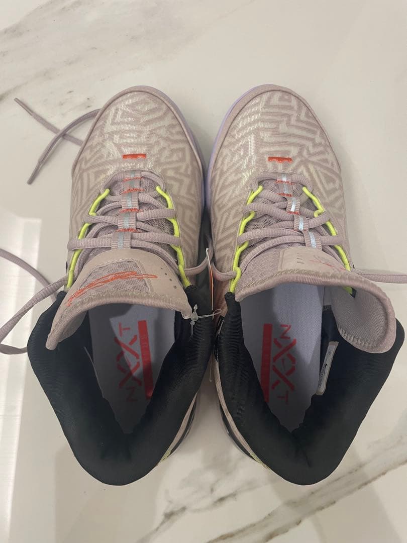 NIKE ナイキ　 レブロン NXXT ジーニサス　26.0