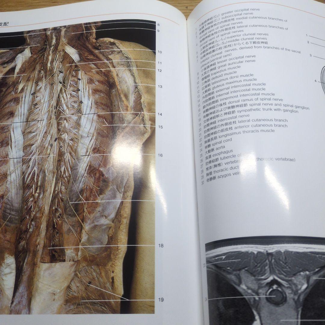 解剖学カラーアトラス