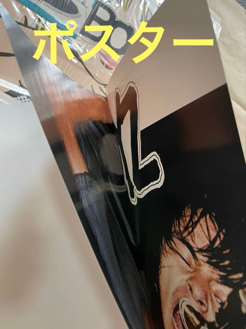 【初回プレス】銀杏BOYZ LP レコード