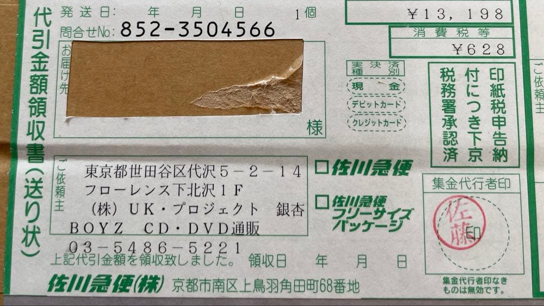 【初回プレス】銀杏BOYZ LP レコード